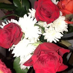 Meet your Posher, Cassy